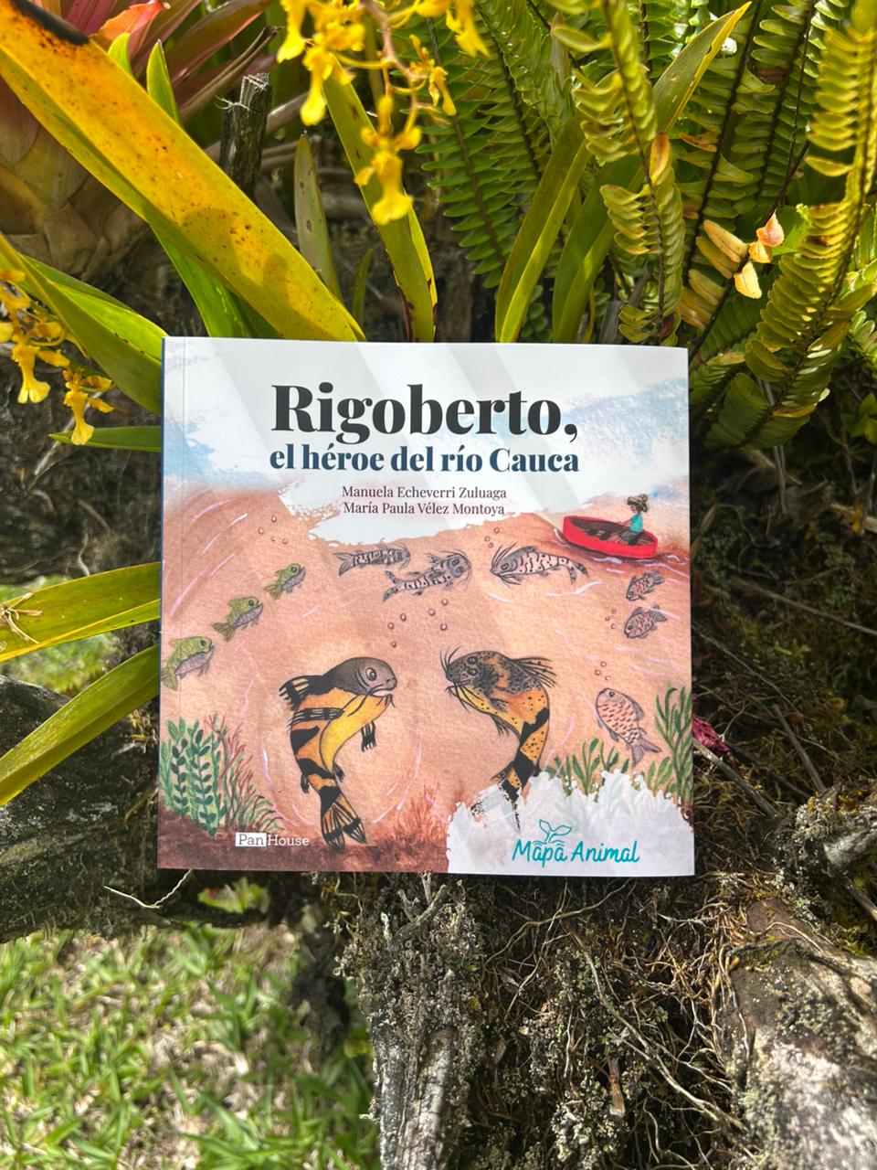 Rigoberto, el héroe del río Cauca